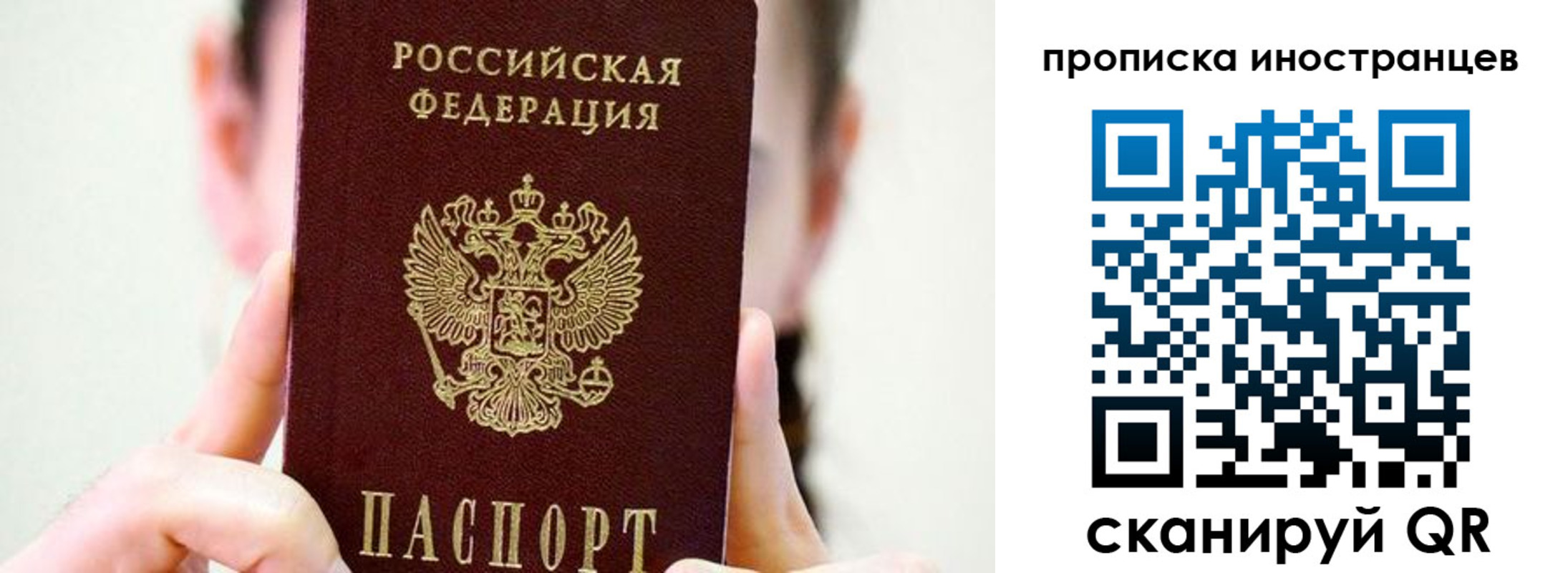 прописка законно в Курской области